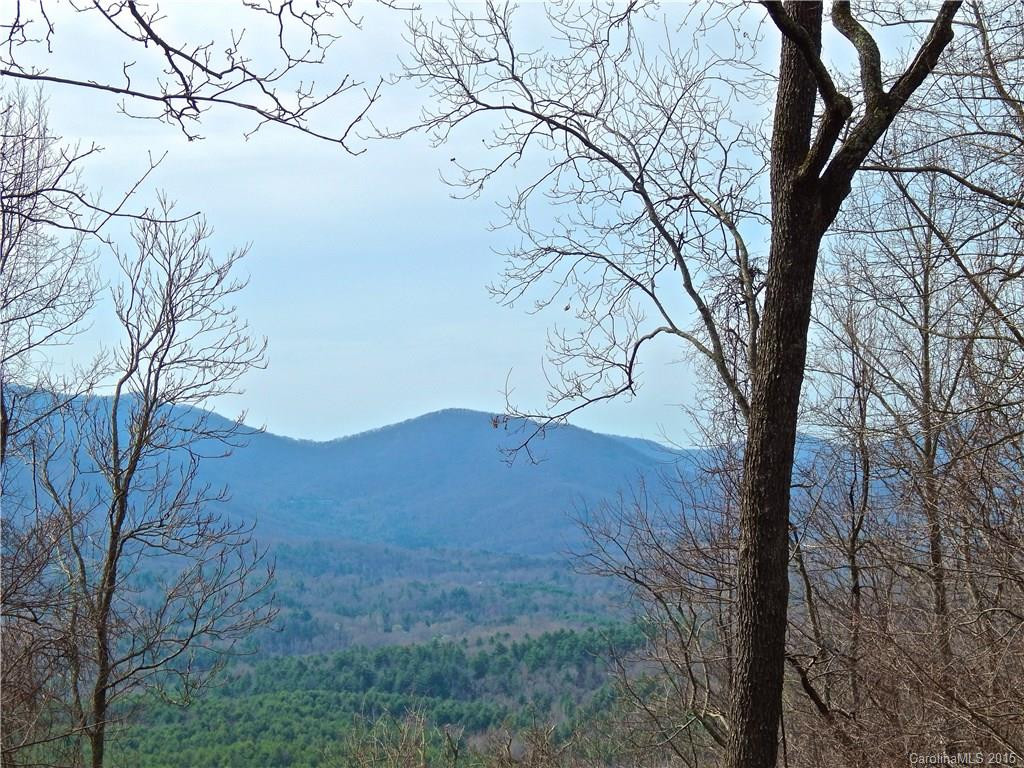 330 Mountain Laurel None - Photo 17