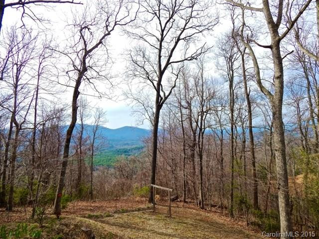 330 Mountain Laurel None - Photo 19