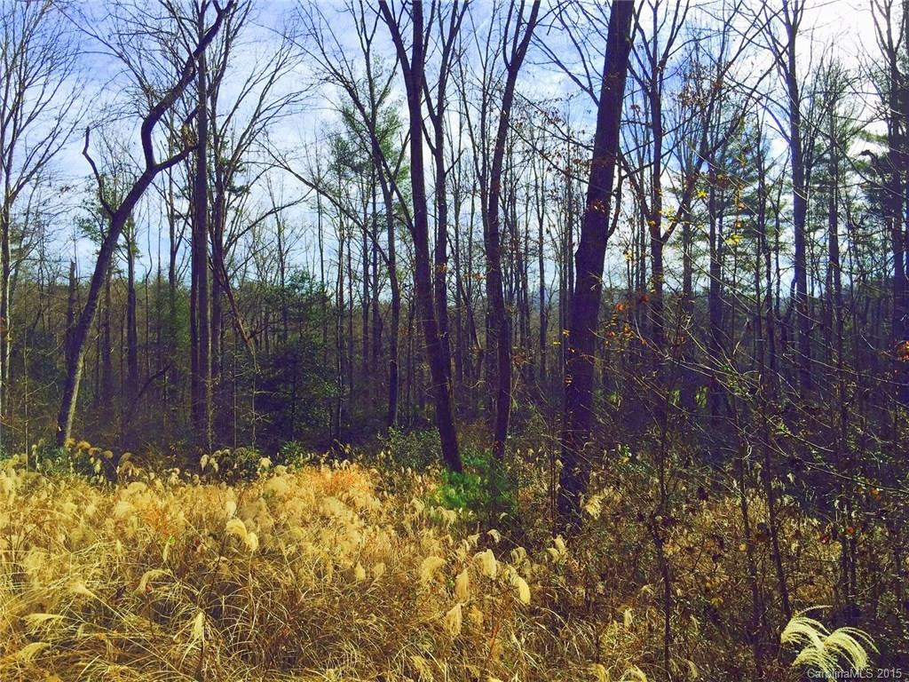 292 Shady Summit Road - Photo 2