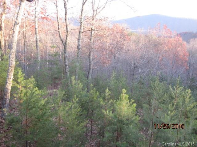 148 Piney Overlook - Photo 3