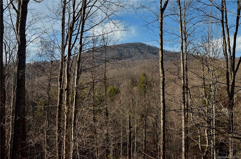 169 Violet Ridge - Photo 12