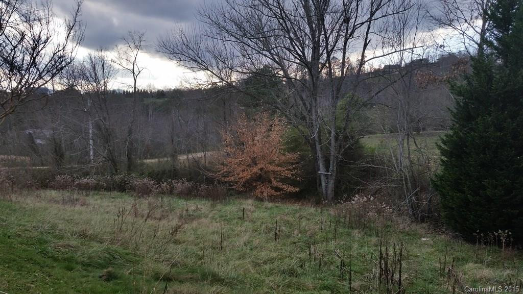 37 Piney View Estates None - Photo 3