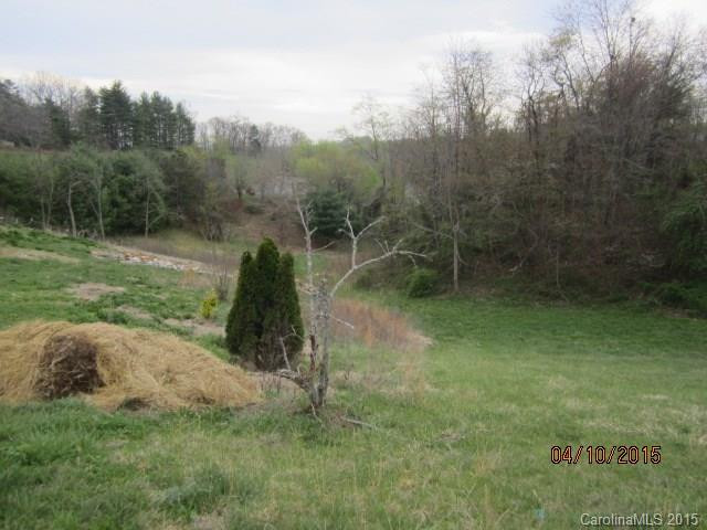 918 Jenkins Valley Road - Photo 3