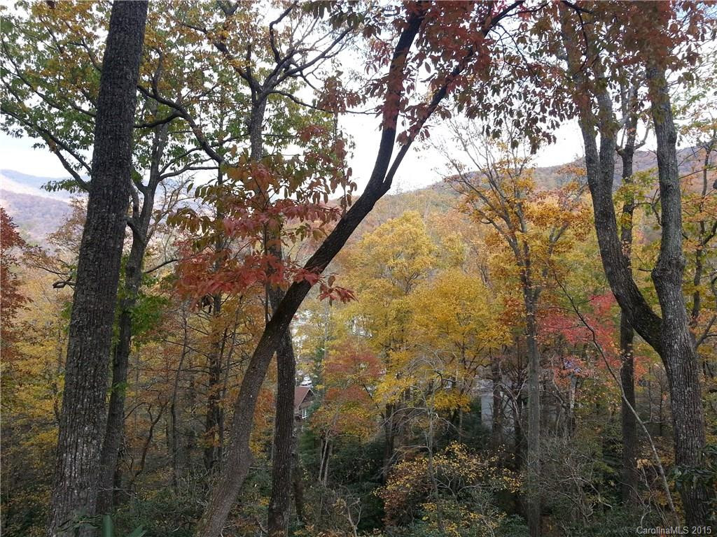 341 Chapman Road - Photo 5