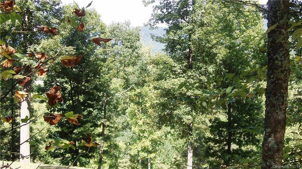 362 Cicada Drive - Photo 8