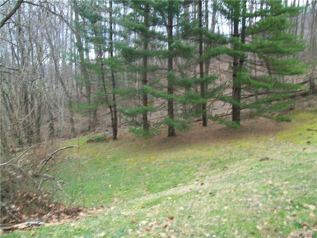 71 Apple Creek Road - Photo 6