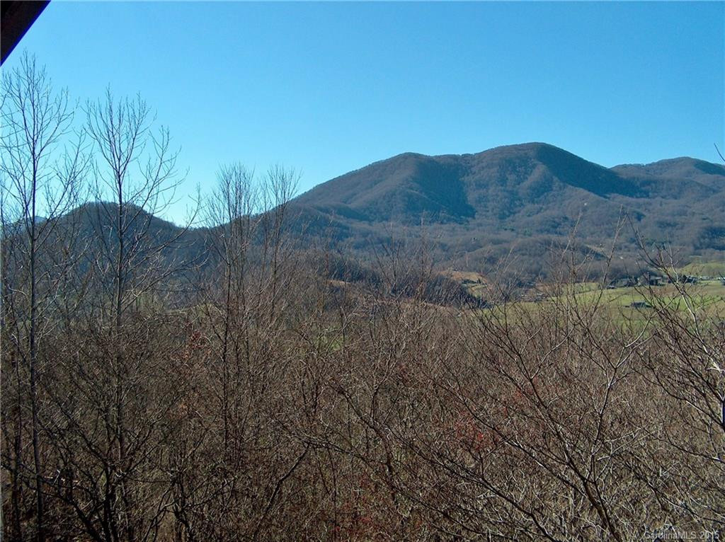 598 Mount Valley Road - Photo 3
