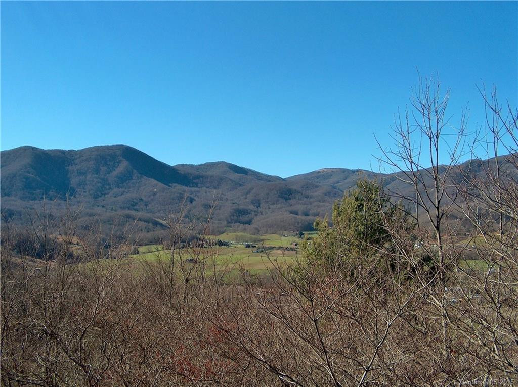 598 Mount Valley Road - Photo 4