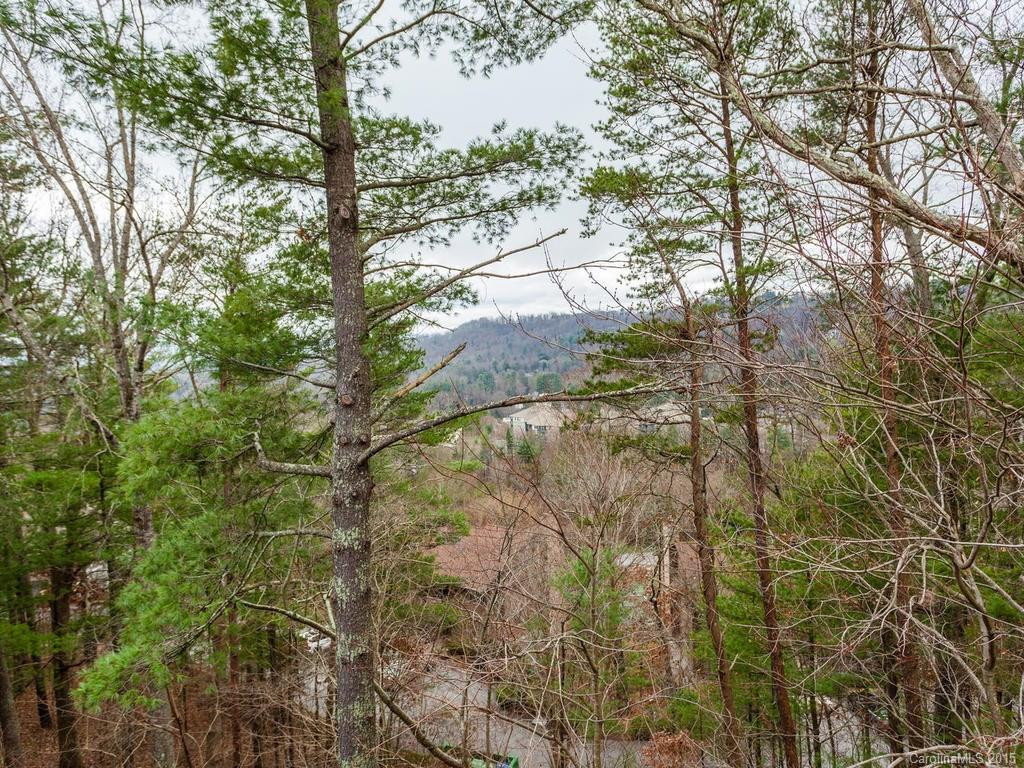 305 Piney Mountain Drive #N4 - Photo 24