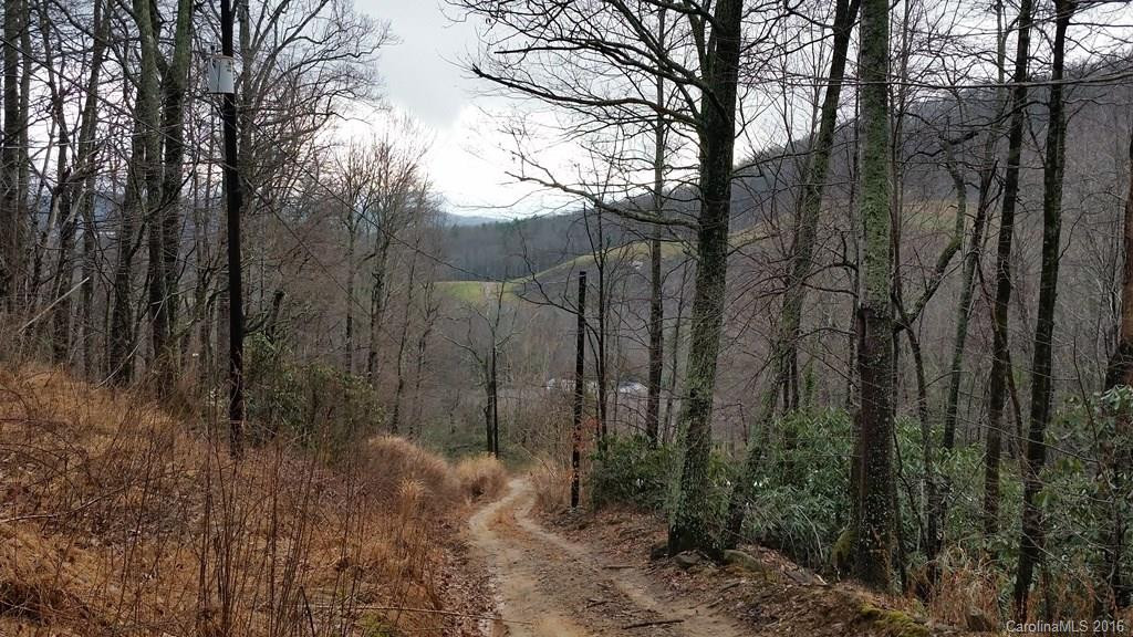 470 Blossom Branch Drive - Photo 3