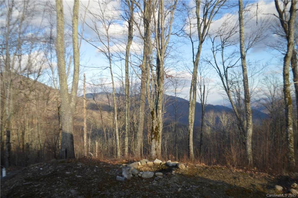 191 Fat Back Ridge - Photo 16