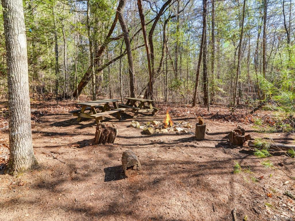 145 White Pine Drive - Photo 20