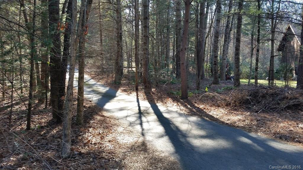 10 Wright's Cove Trail - Photo 10