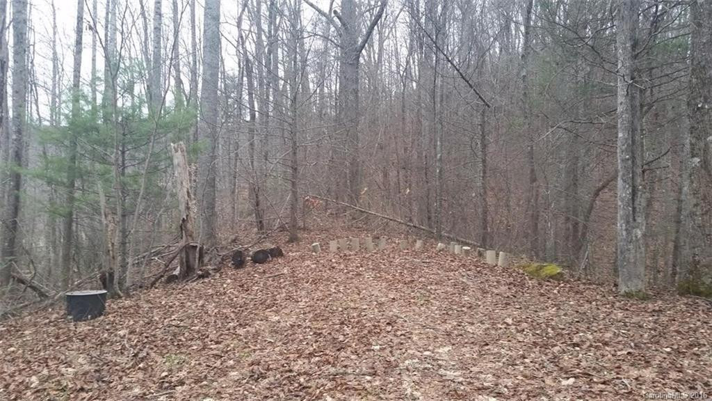 5210 Shook Cove Road - Photo 8