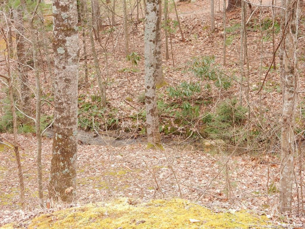 152 Chestnut Creek Road - Photo 12