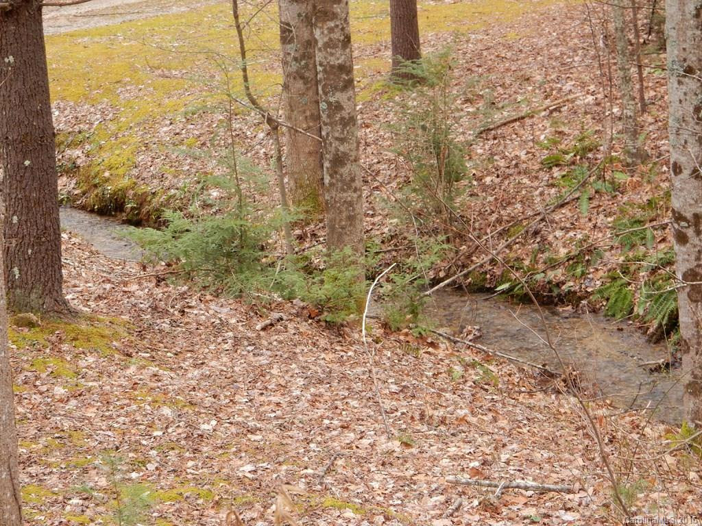 152 Chestnut Creek Road - Photo 14