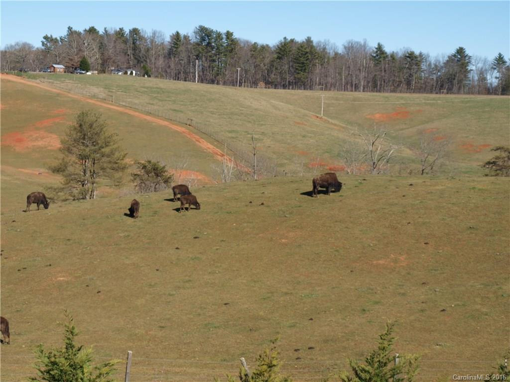 85 Bear Creek Hills Drive - Photo 23