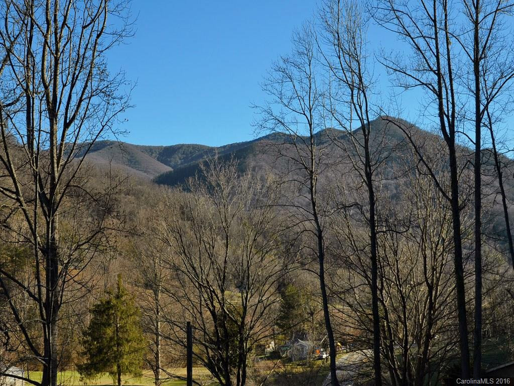 64 Maney Branch Road - Photo 3