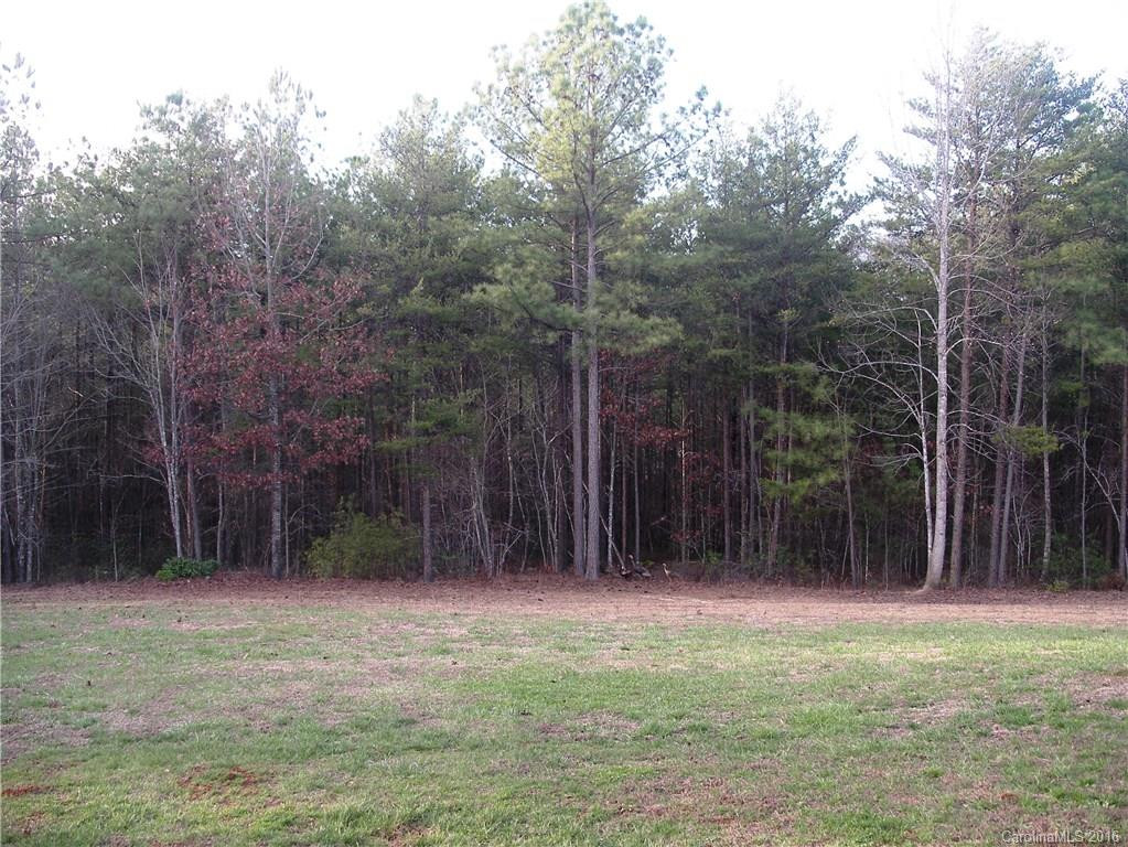 4551 Lake Adger Parkway - Photo 16