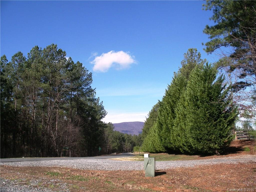 4551 Lake Adger Parkway - Photo 23