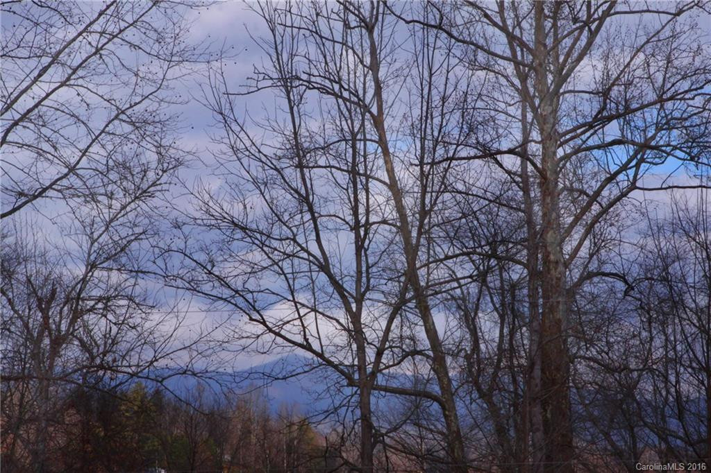 36 Long Branch Road - Photo 23