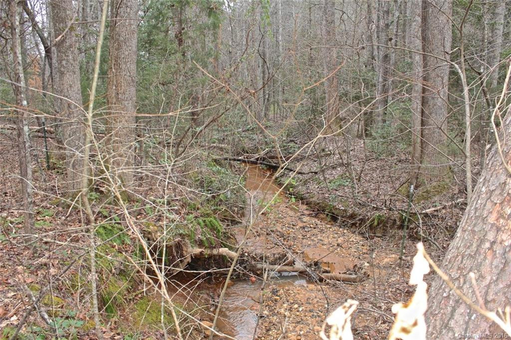 292 Starlite Lane - Photo 4