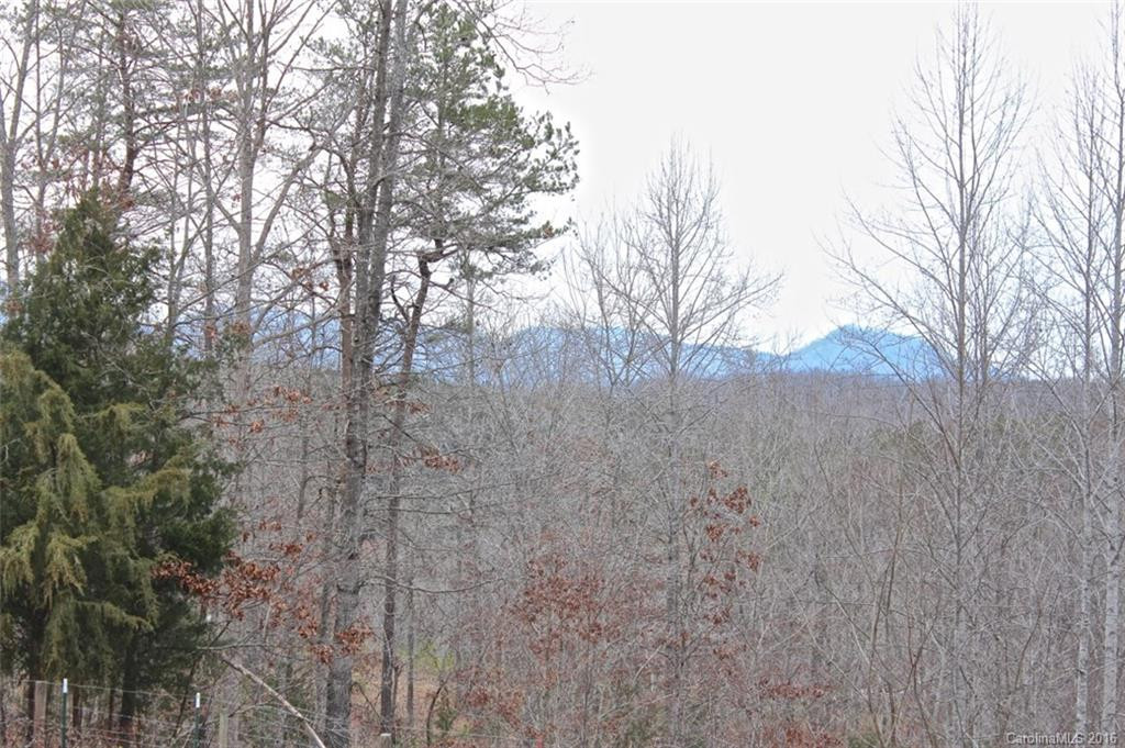 292 Starlite Lane - Photo 9