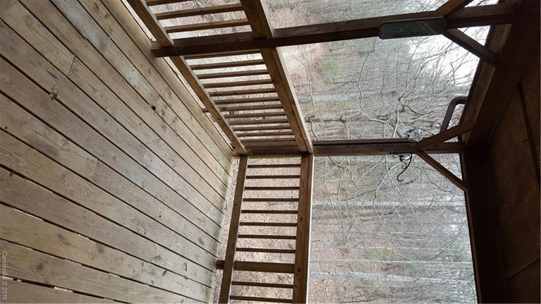 415 English Heifer Cove Road - Photo 17