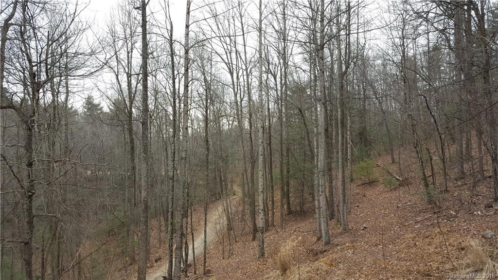 415 English Heifer Cove Road - Photo 18