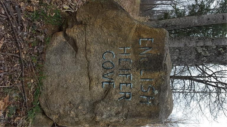 415 English Heifer Cove Road - Photo 19