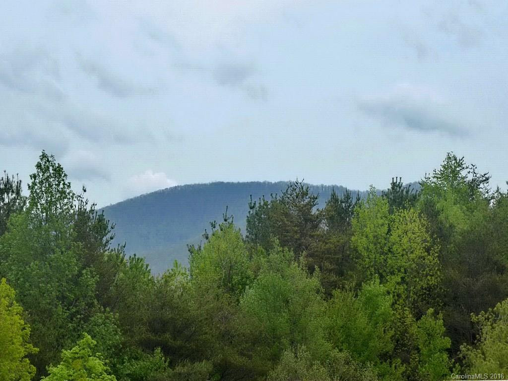 9 Kenilworth Knoll #325 - Photo 10