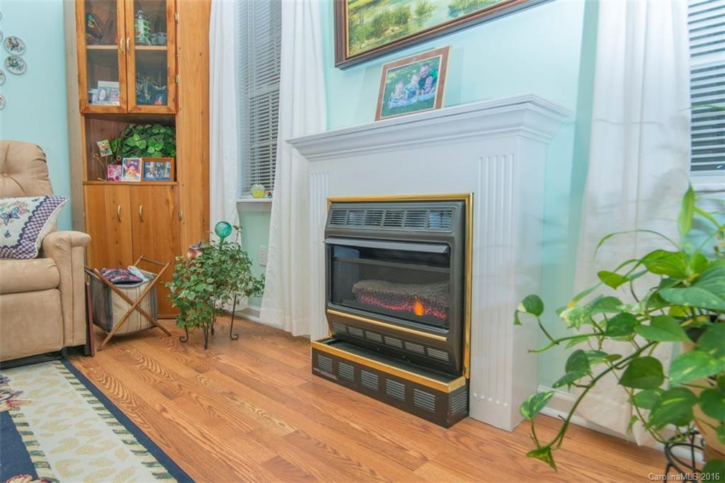 1656 Howard Gap Road - Photo 9