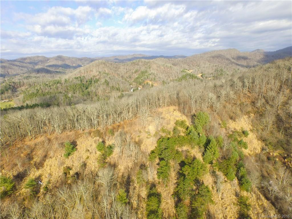 2089 East Fork Road - Photo 2