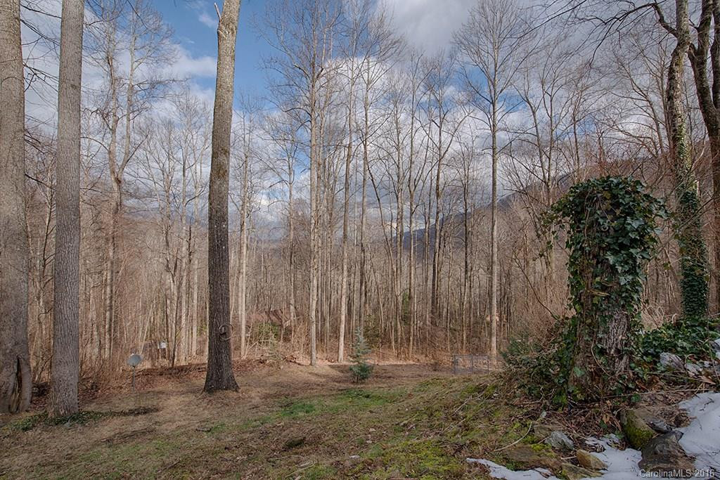 976 Wildcat Run #54 - Photo 20