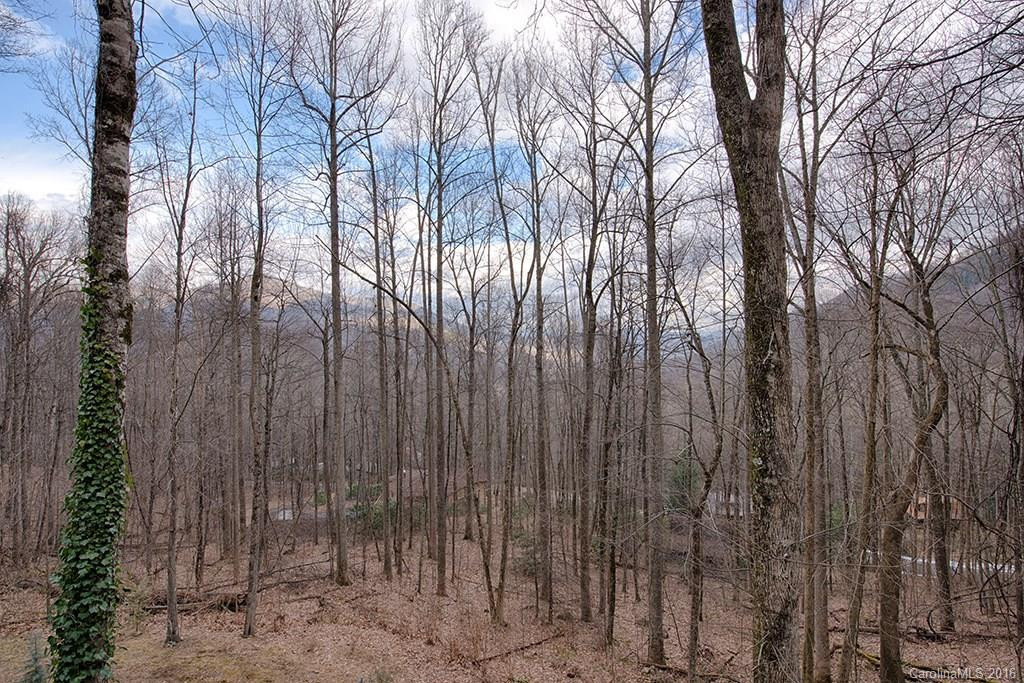 976 Wildcat Run #54 - Photo 24