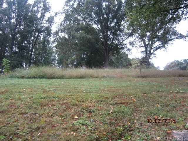 1401 Charlotte Hwy Highway - Photo 8