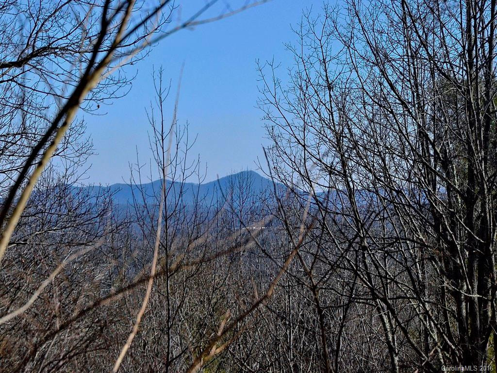 256 Indian Bluff Trail - Photo 6