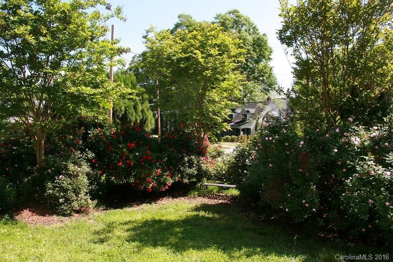 117 Pine Street - Photo 11