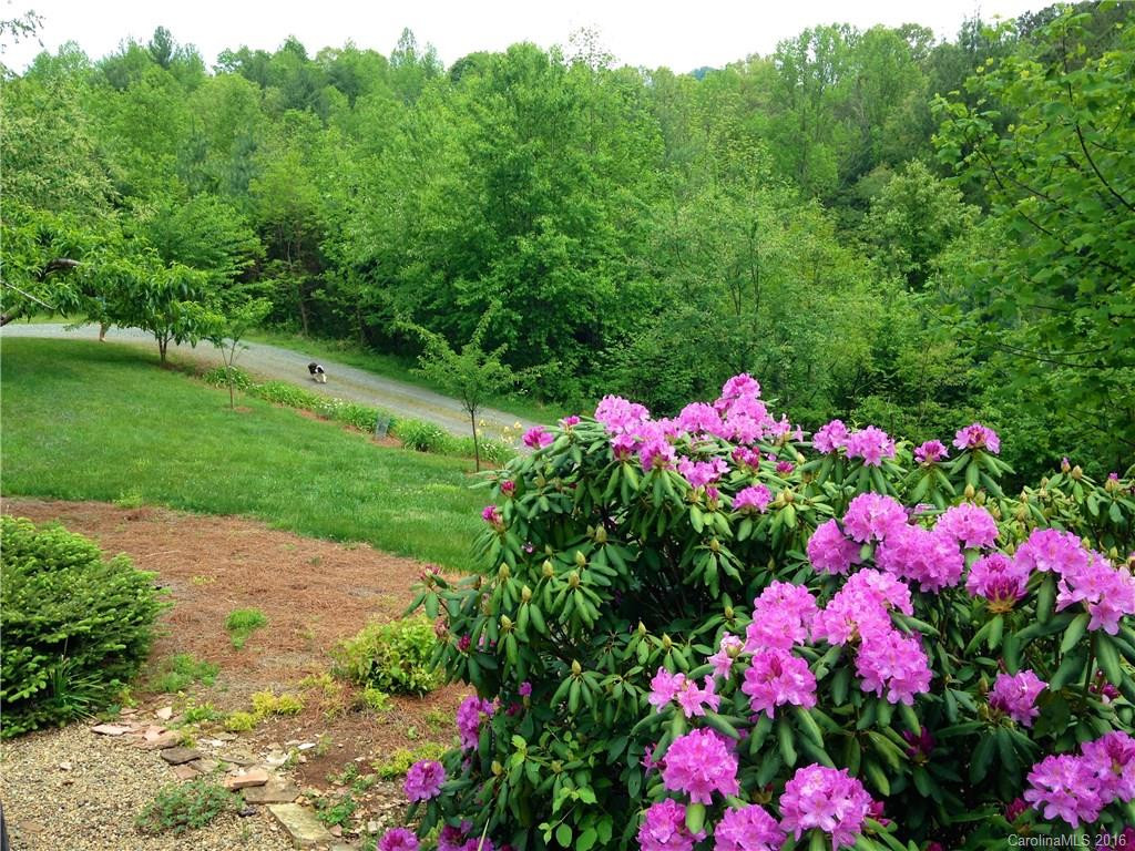 210 Myers Ridge Drive - Photo 9