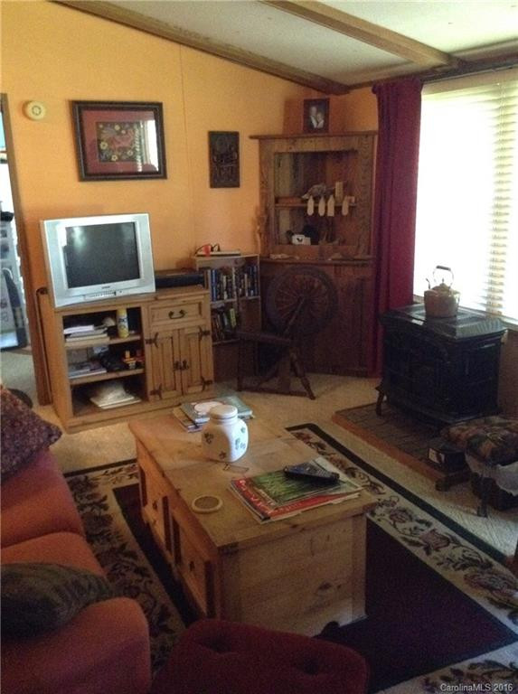 13333 NC 209 Highway - Photo 14