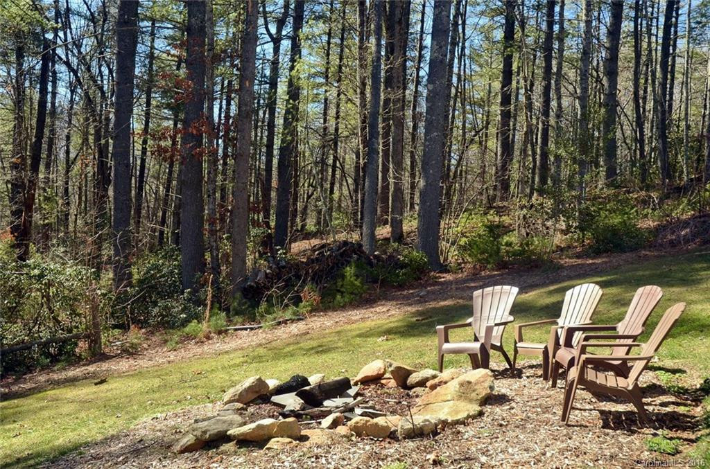 353 Kanuga Forest Drive - Photo 16