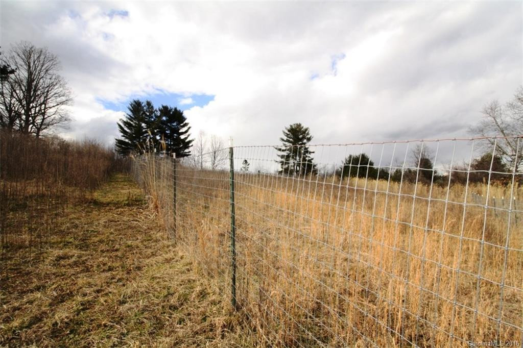 562 Mountain Road - Photo 17