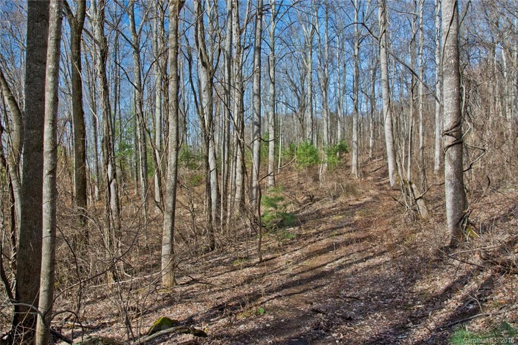 444 Ox Creek Road - Photo 5