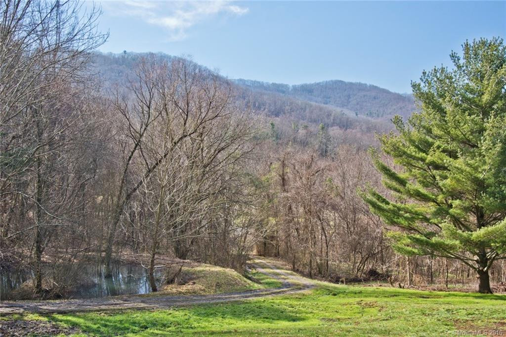 444 Ox Creek Road - Photo 6