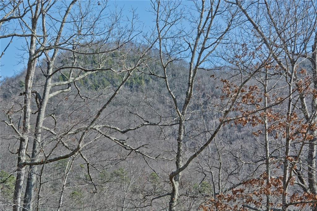 259 Fern Way #21 - Photo 3