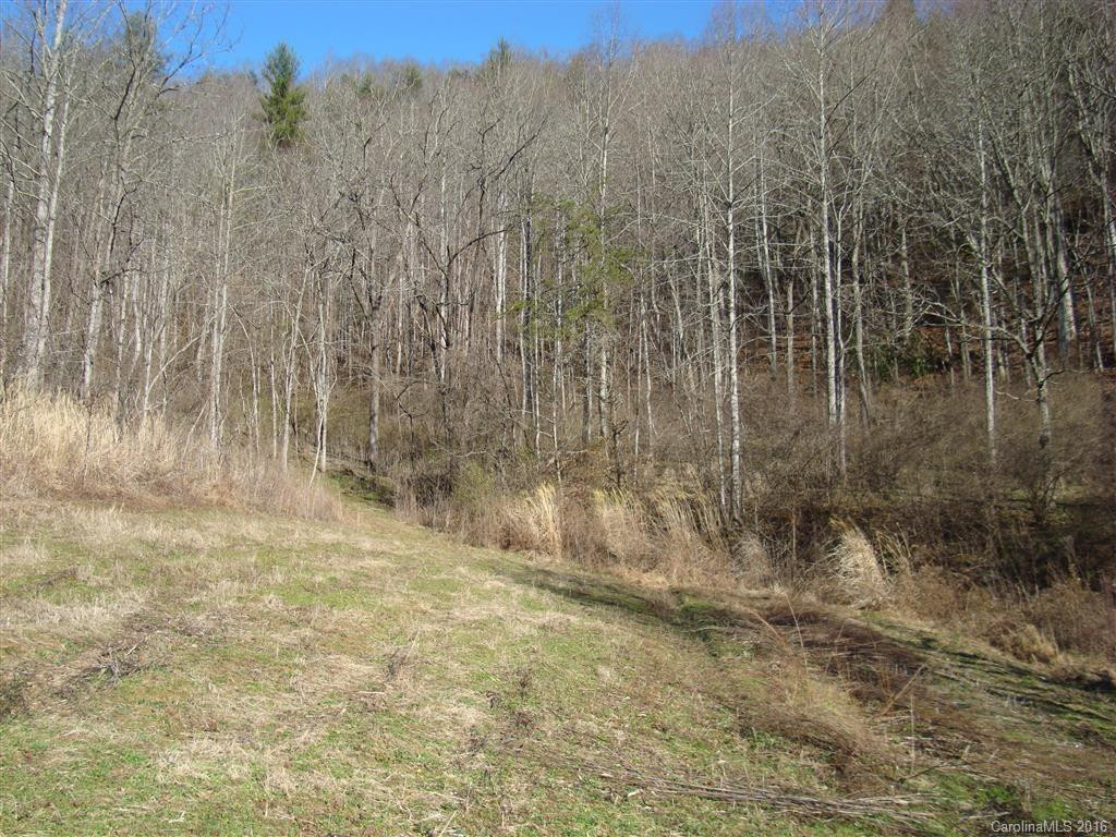 3072 Grapevine Road - Photo 15