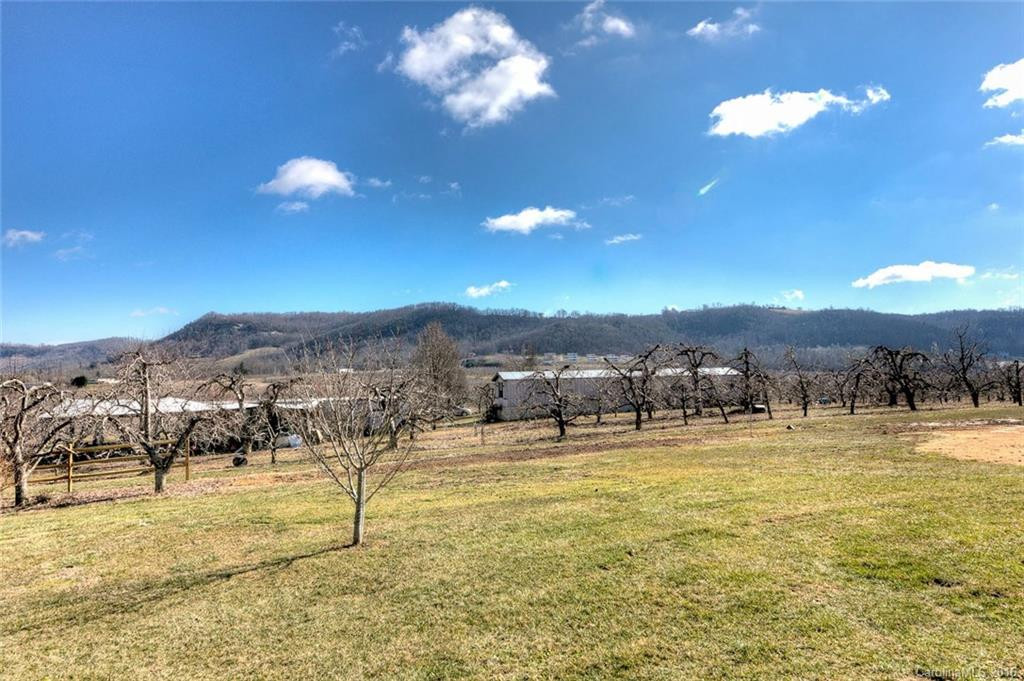 1662 Pilot Mountain Road - Photo 15