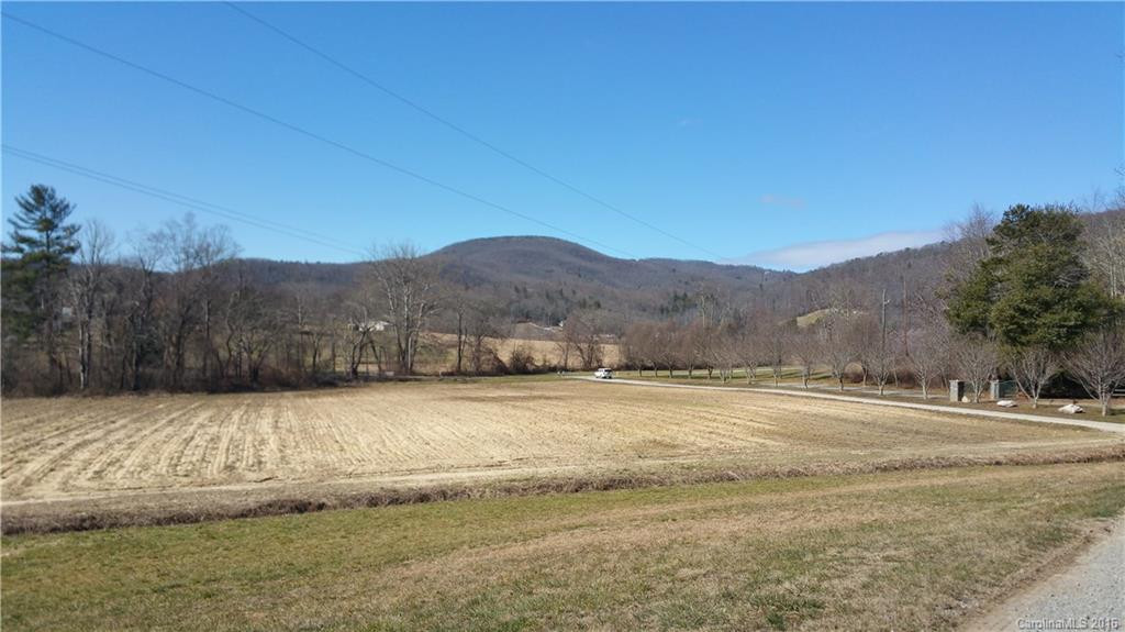 129 Aunt Ettas Place - Photo 11