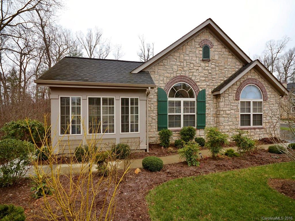 46 Craggy Vista Drive #46