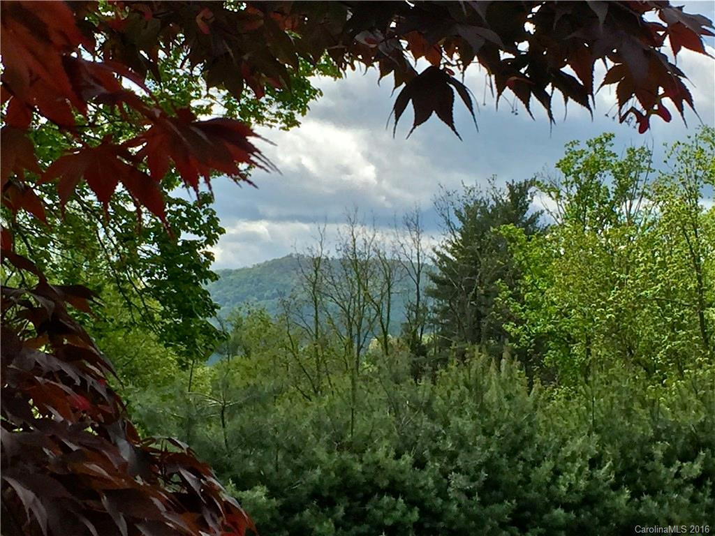 224 Hydrangea Drive - Photo 2